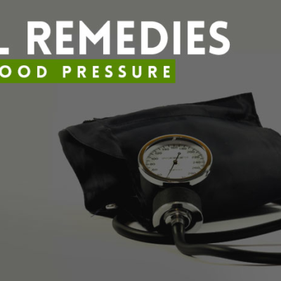 Arjuna Herb High Blood Pressure