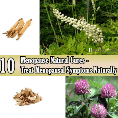 Natural Cures For Menopause Hair Loss Natural Cures For Menopause Hair Loss
