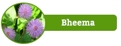 Bheema