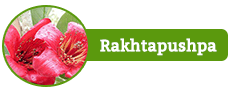 Raktapushpa