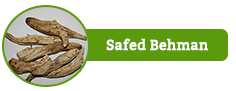 Safed Behman