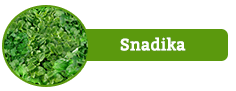 Snadika