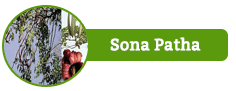 Sona Patha