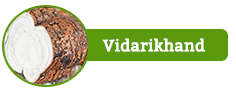 Vidarikand