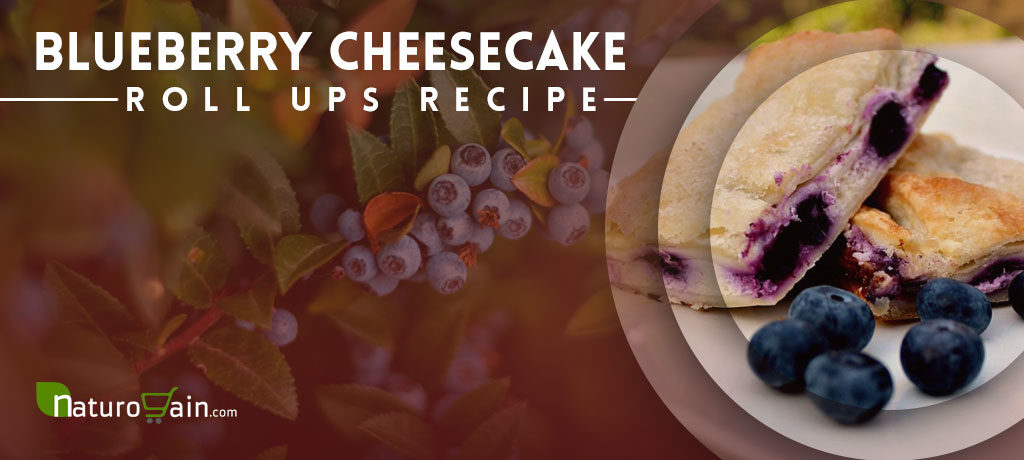 Blueberry Cheesecake Roll Ups Recipe