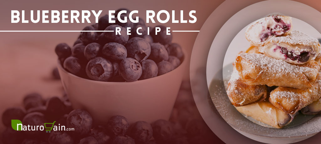 Blueberry Egg Rolls Recipe