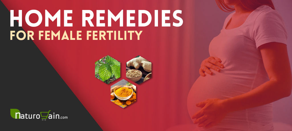 Home Remedies for Female Fertility