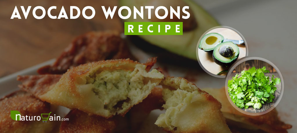 Avocado Wontons Recipe