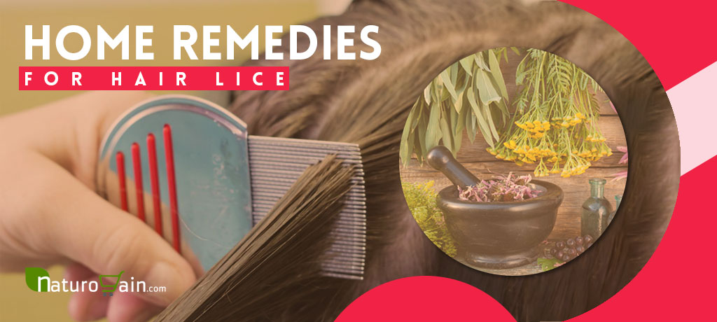 Home Remedies for Hair Lice