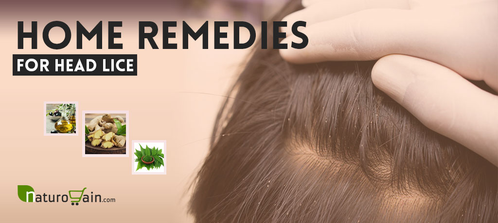 Home Remedies for Head Lice