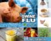 Home Remedies to Prevent Swine Flu H1N1 Virus