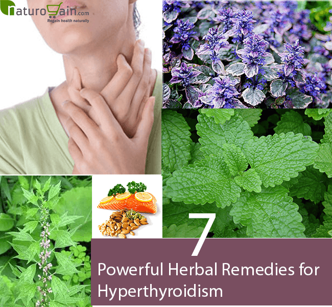 Hyperthyroidism Natural Treatment 7 Powerful Herbal Remedies for