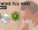 Keep Swine Flu H1N1 Virus Away