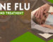 Swine Flu Remedies and Treatment