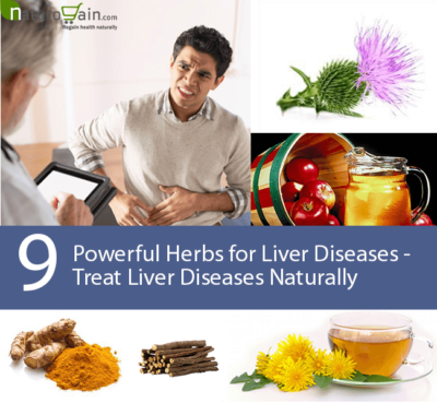 Herbs for Liver Diseases