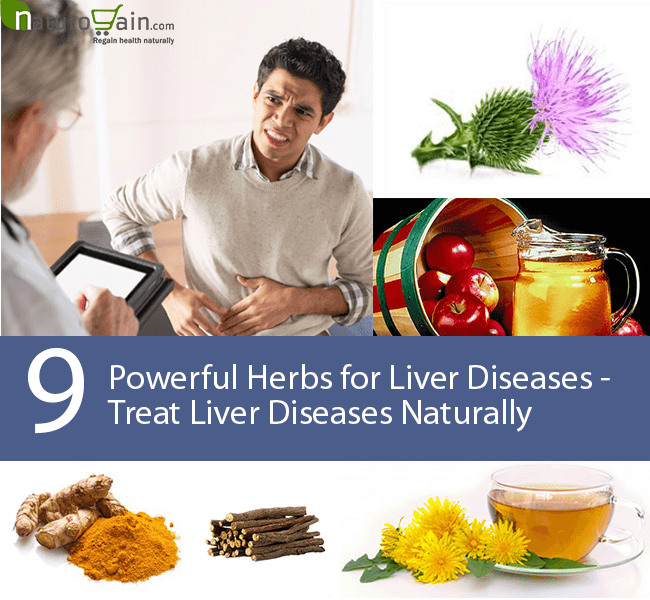 9 Powerful Herbs for Liver Diseases Treat Liver Diseases Naturally