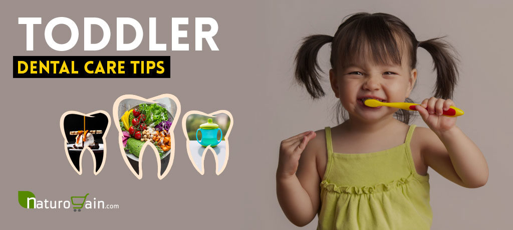 Toddler Dental Care Tips