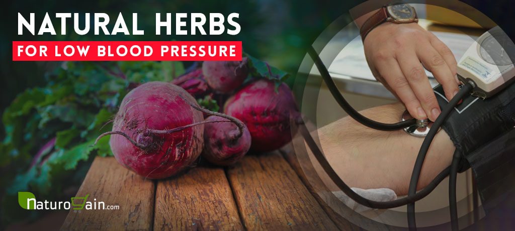 Herbs for Low Blood Pressure