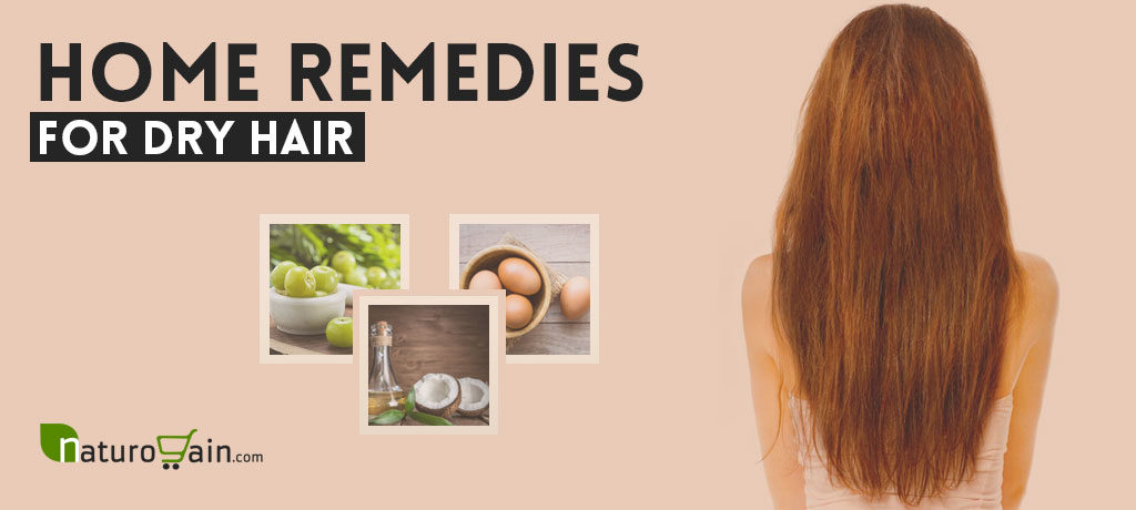 Home Remedies for Dry Hair