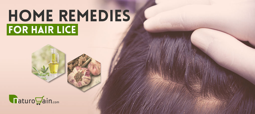 Home Remedies for Hair Lice