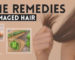 Best Home Remedies for Damaged Hair