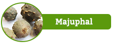 Majuphal, Quercus Infectoria