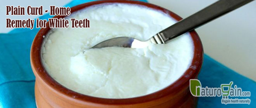 Curd Home Remedy for White Teeth