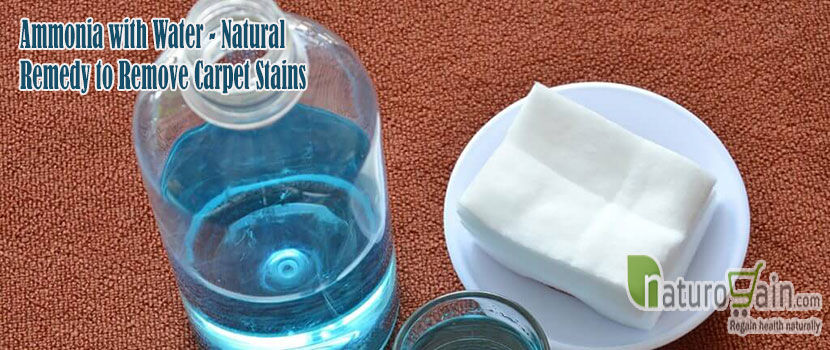 Natural Remedy to Remove Carpet Stains