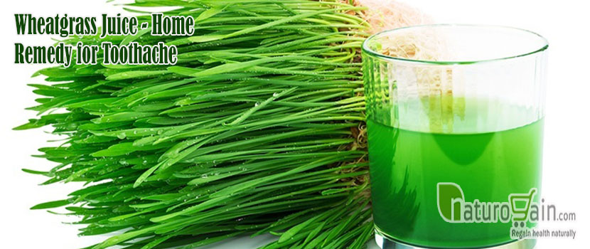 Wheatgrass Juice Remedy for Toothache