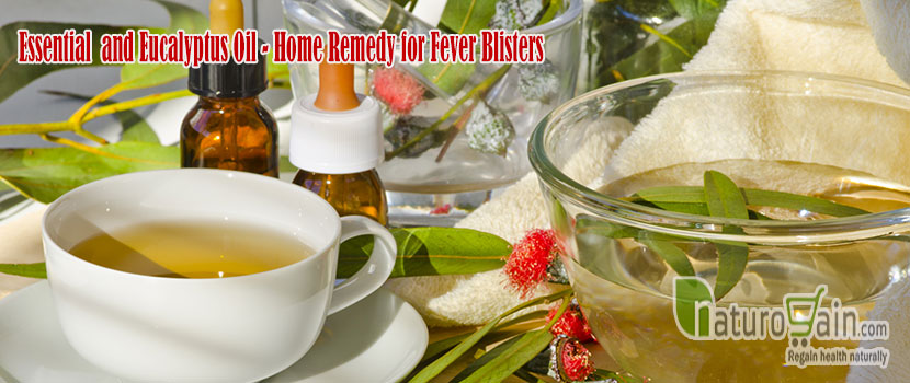 Remedy for Fever Blisters