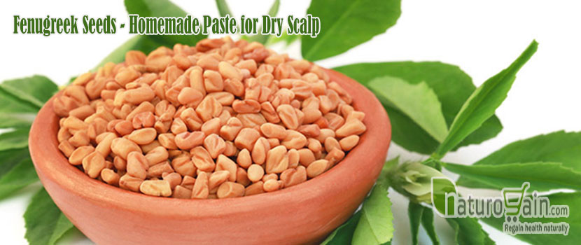 Homamde Paste for Dry Scalp