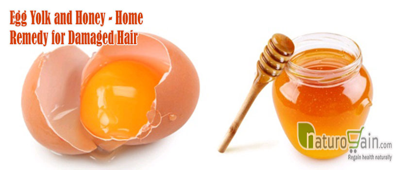 Home Remedy for Damaged Hair