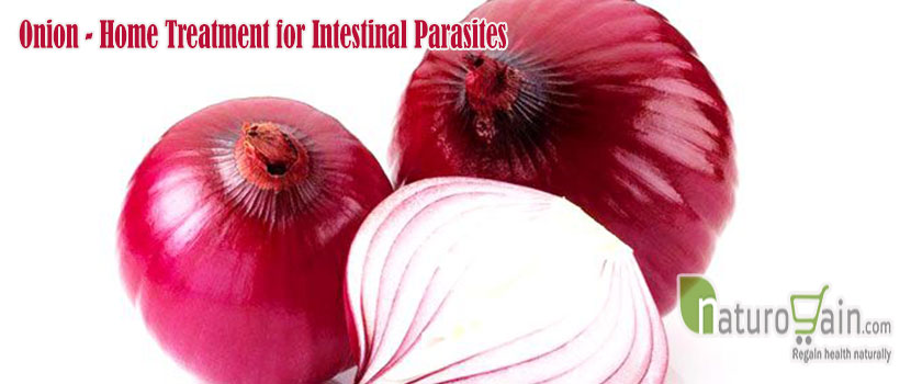 Home Treatment for Intestinal Parasites