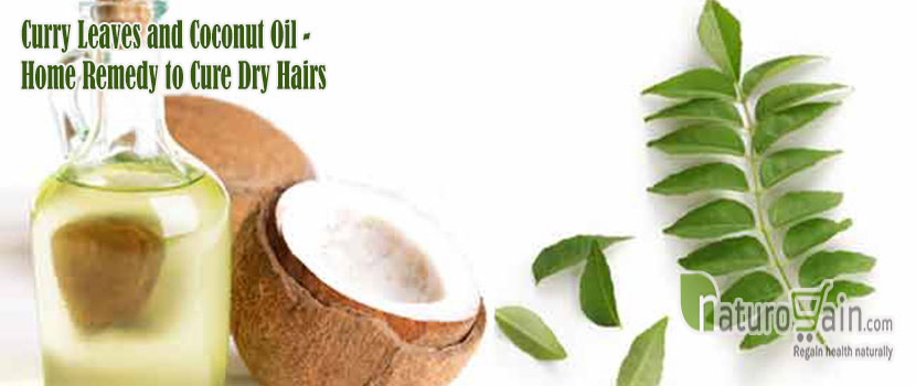 Remedy to Cure Dry Hairs