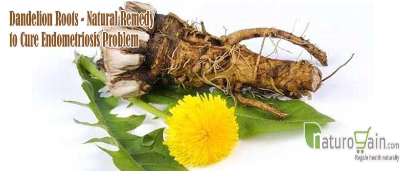 Remedy to Cure Endometriosis