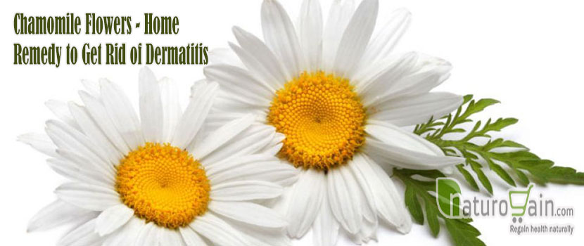 Remedy to Get Rid of Dermatitis