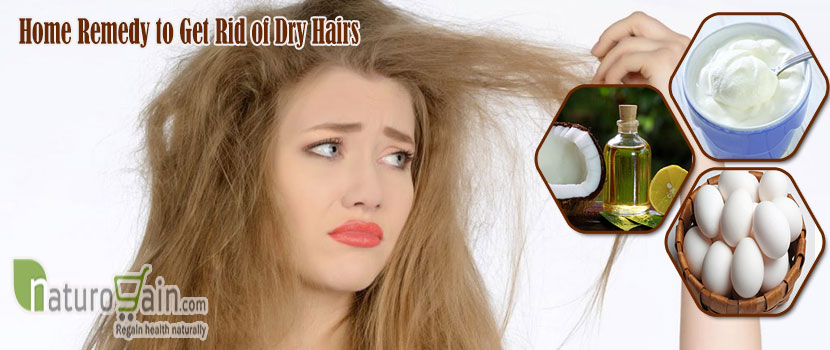 Remedy to Get Rid of Dry Hairs