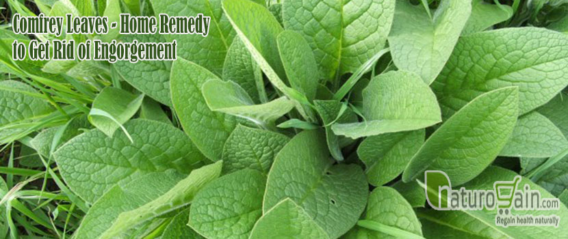 Remedy to Get Rid of Engorgement