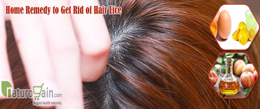 Remedy to Get Rid of Hair Lice