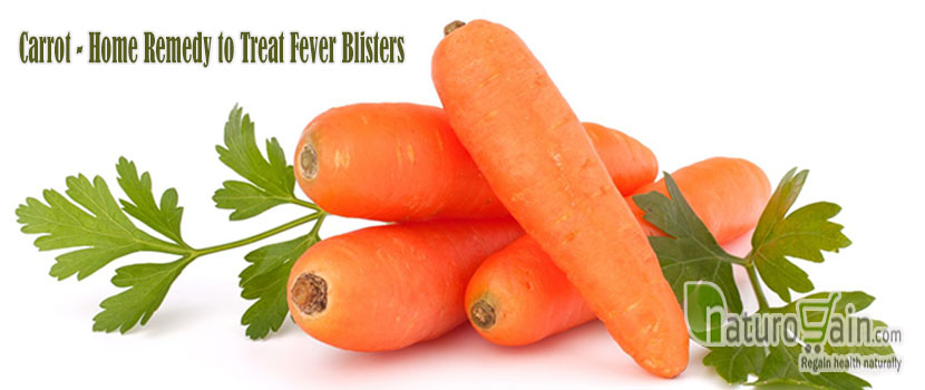 Remedy to Treat Fever Blisters