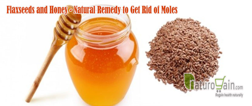 10 Best Home Remedies for Moles to Diminish Appearance [Naturally] - How To Get Rid Of Ground Moles With Vinegar