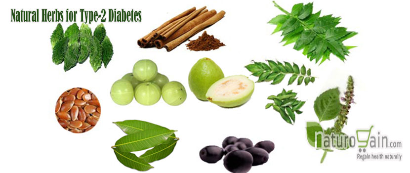 Natural Herbs to Type 2 Diabetes