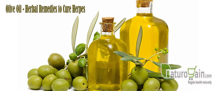 Olive Oil