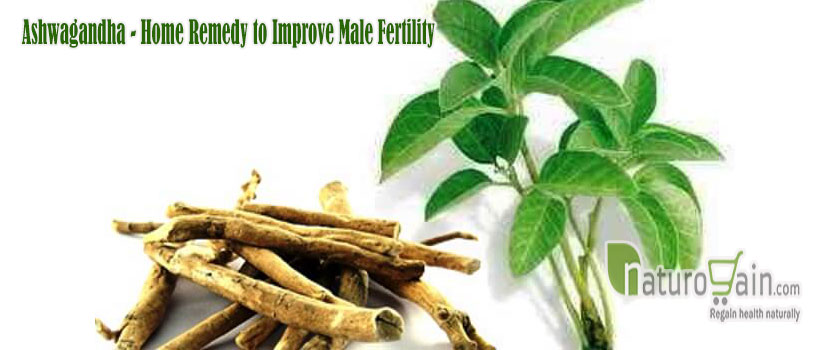 Remedy to Improve Male Fertility