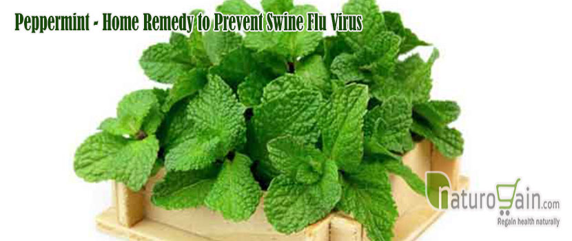 Remedy to Prevent Swine Flu Virus