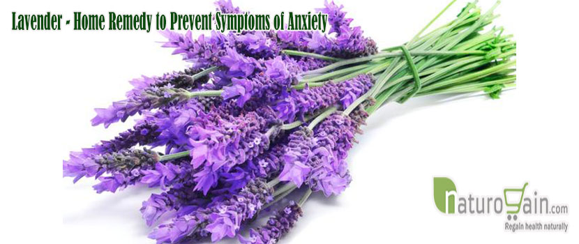 Remedy to Prevent Symptoms of Anxiety