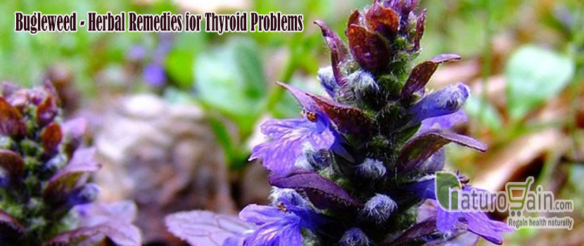 Thyroid Problems