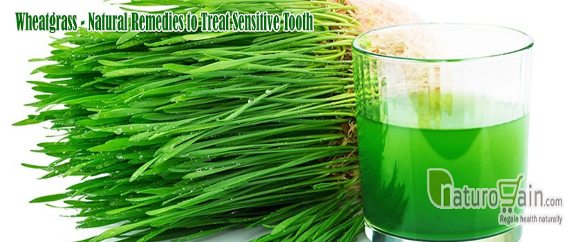 Wheatgrass