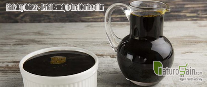 Blackstrap Molasses