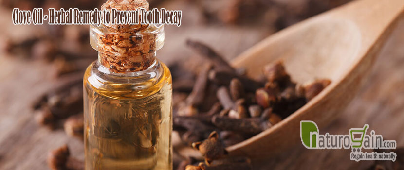 Clove Oil